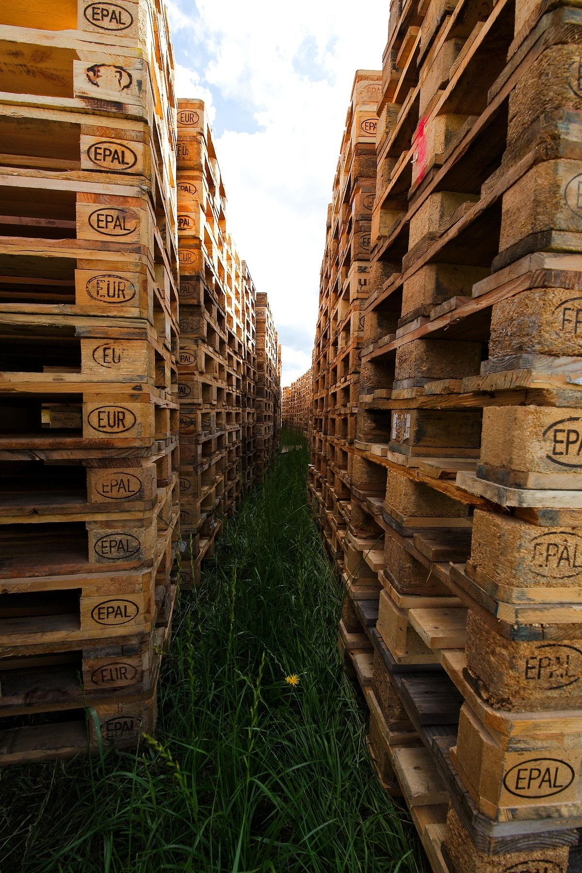 Rows of pallets built to different sizes in the yard