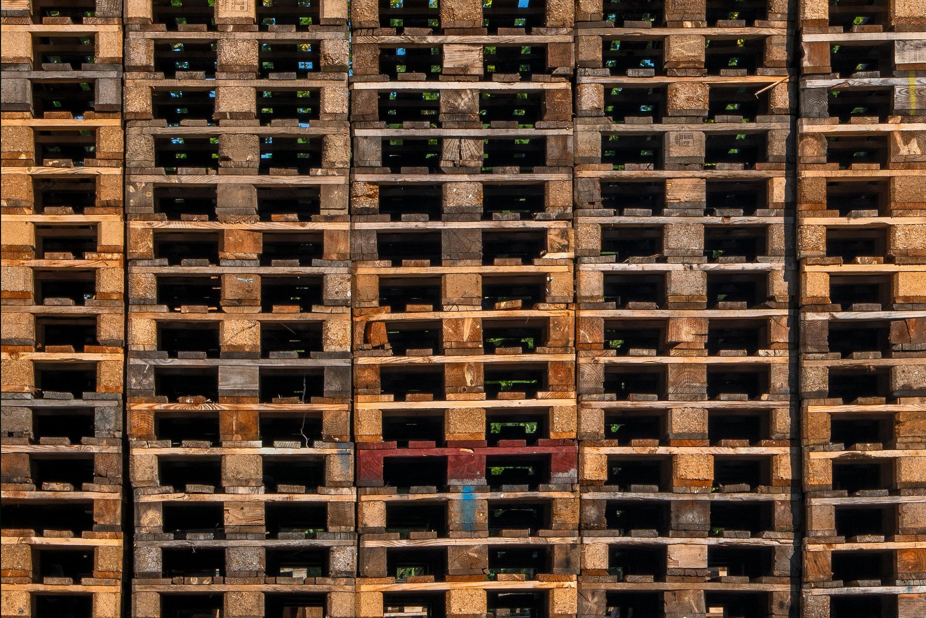 Timber stock waiting to be cut in the Al Sajaa yard
