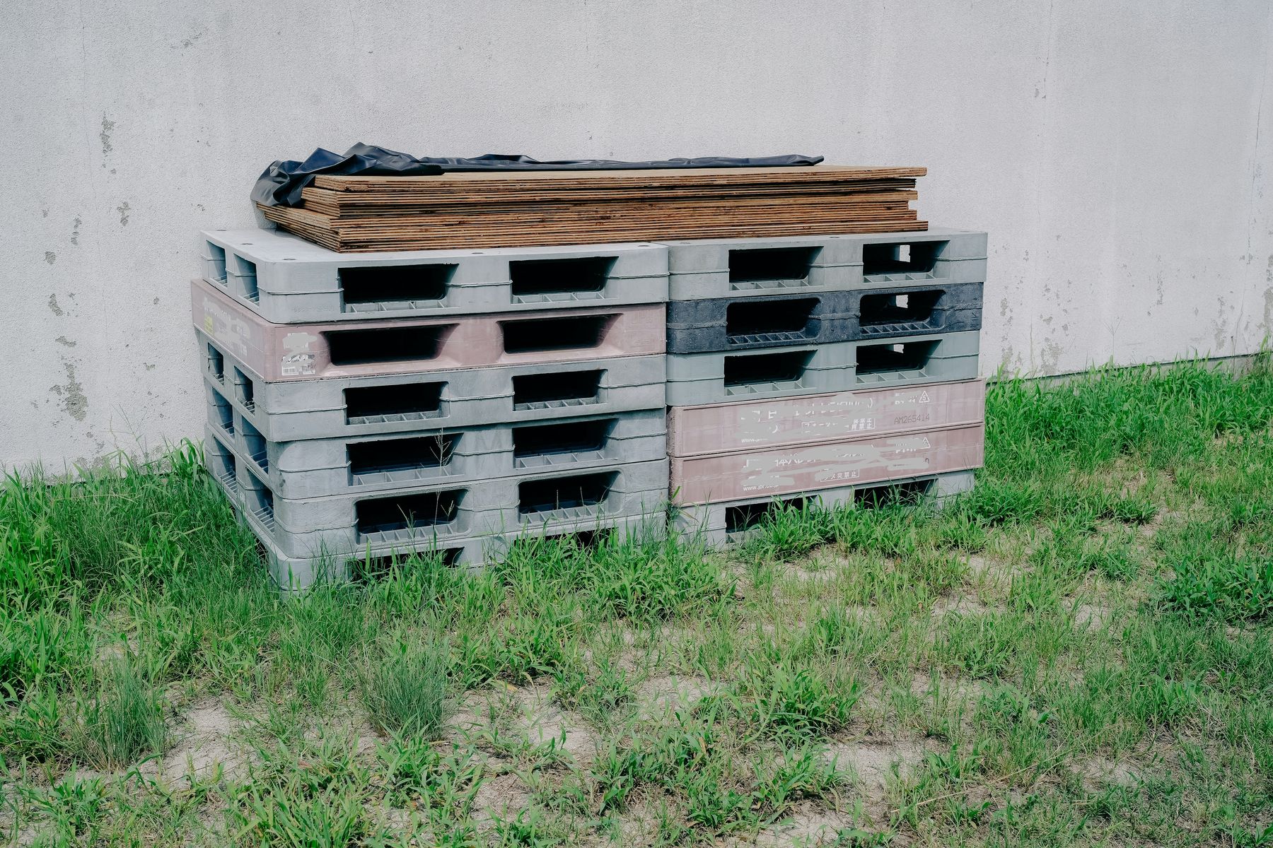 Stack of used plastic pallets, inspected